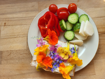 Blumenbort mit Frischkäse und Gemüse